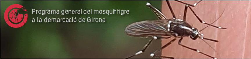 Programa de Vigilància del Mosquit Tigre Web Oficial de l Ajuntament