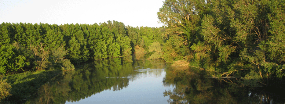 el riu Ter a Verges